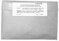 Image Associated With the Occurence